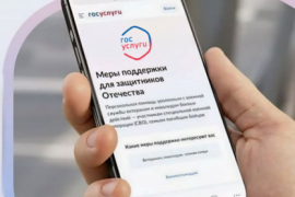 Новый сервис на госуслугах открывает ветеранам СВО доступ к бесплатной юридической помощи и культурным мероприятиям.
