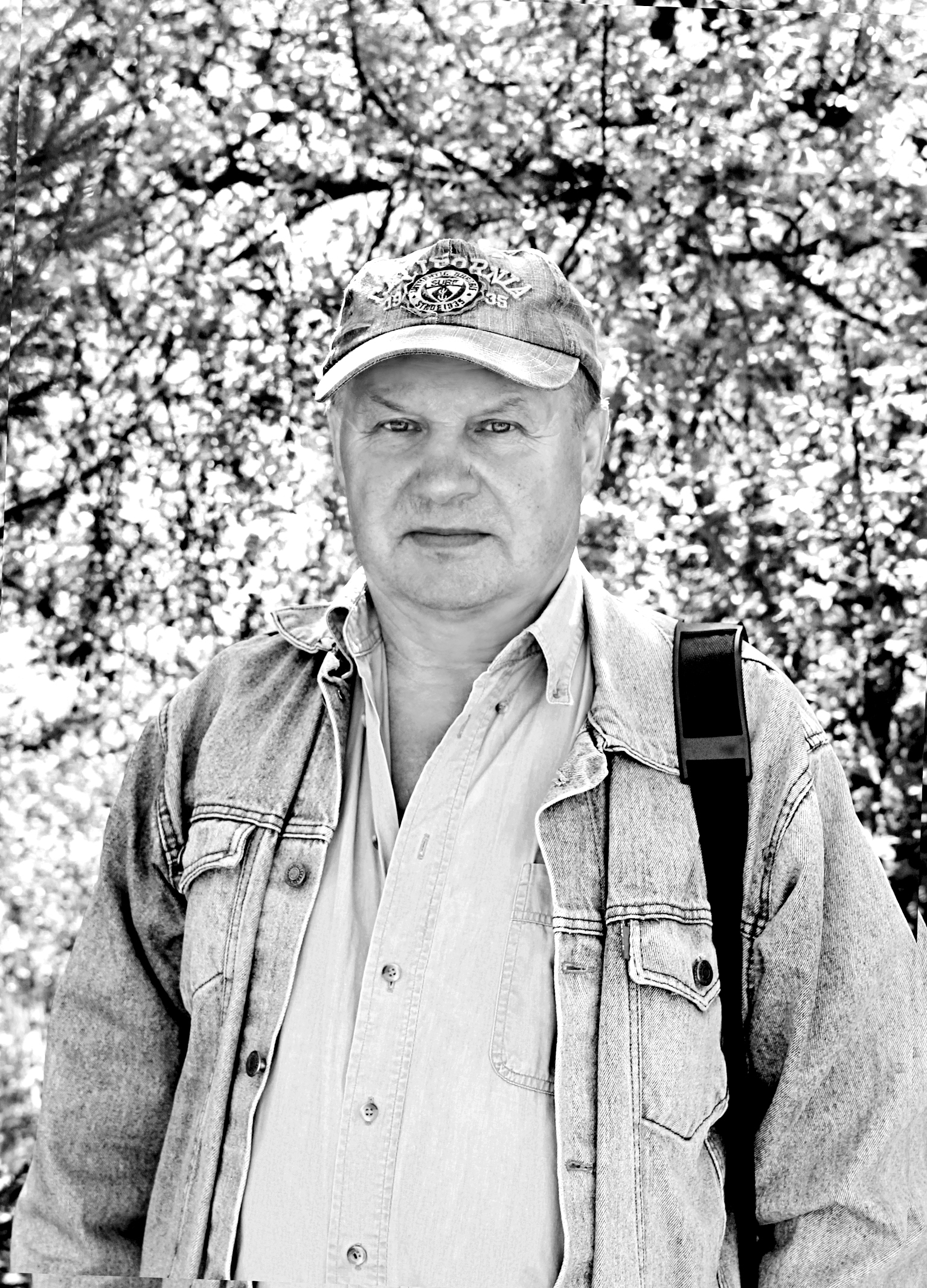 Владимир Варзин