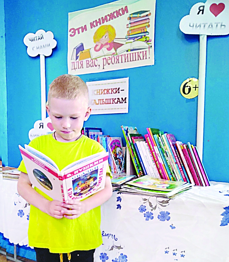 Красноборская библиотека