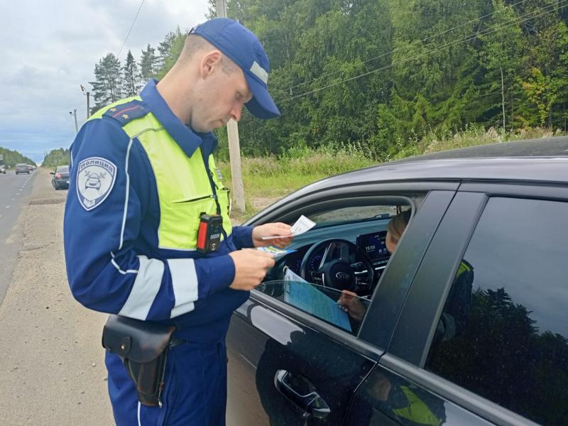 Аварий на дорогах муниципалитета стало заметно меньше. За первые девять месяцев этого года зафиксировано всего девять ДТП с пострадавшими, что почти вдвое меньше показателя аналогичного периода прошлого года – тогда их было 17.