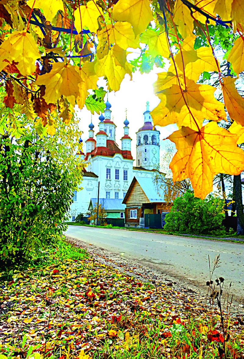 Осеннему периоду посвящают стихи тотемские поэты.