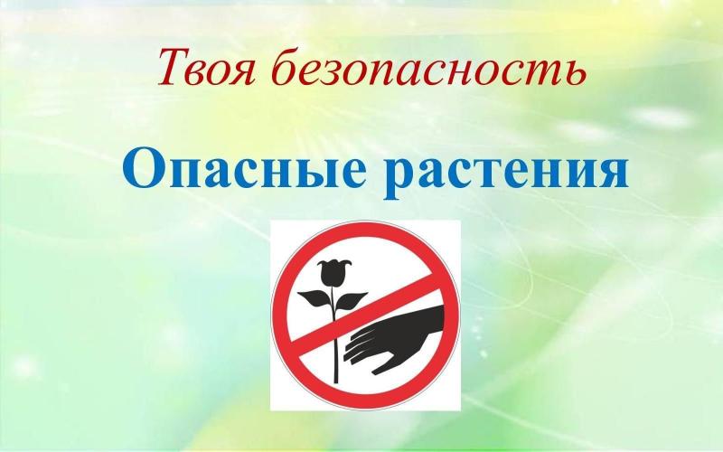 ОПАСНЫЕ РАСТЕНИЯ