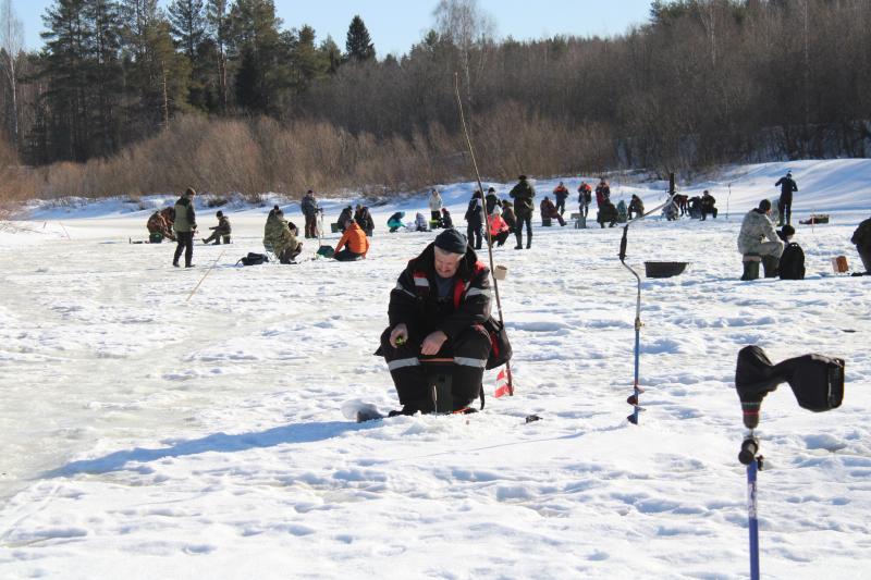 В традиционном фестивале «Золотая лунка» приняли участие 84 рыбака.