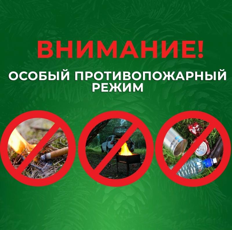 На территории Вологодской области установлен особый противопожарный режим на землях лесного фонда.