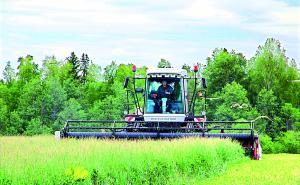 Есть предприятия, о которых не говорят громко. Их сила в ритме, знакомом каждому, кто встаёт раньше солнца: дойка, поле, ремонт, снова поле. ООО «Нива» живёт именно так — без фанфар, но с твёрдым шагом, который даёт людям главное —  уверенность.