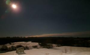 Есть ли реальный прототип у «звезды полей» или это метафорический образ?