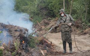 Пожароопасный сезон начнётся в регионе с 6 апреля.