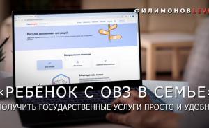 Более 300 вологодских семей, имеющих детей с ограничениями здоровья, воспользовались цифровым помощником на госуслугах.