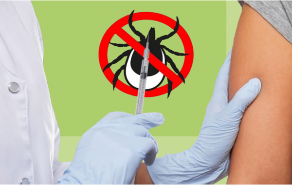 На Вологодчине стартовала массовая иммунизация против клещевого энцефалита