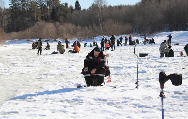 В традиционном фестивале «Золотая лунка» приняли участие 84 рыбака.