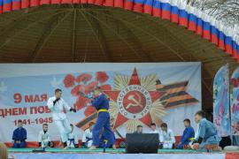 Одними из зрелищных мероприятий в День Победы стали спортивные.