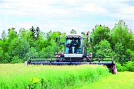 Есть предприятия, о которых не говорят громко. Их сила в ритме, знакомом каждому, кто встаёт раньше солнца: дойка, поле, ремонт, снова поле. ООО «Нива» живёт именно так — без фанфар, но с твёрдым шагом, который даёт людям главное —  уверенность.