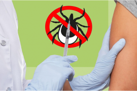 На Вологодчине стартовала массовая иммунизация против клещевого энцефалита